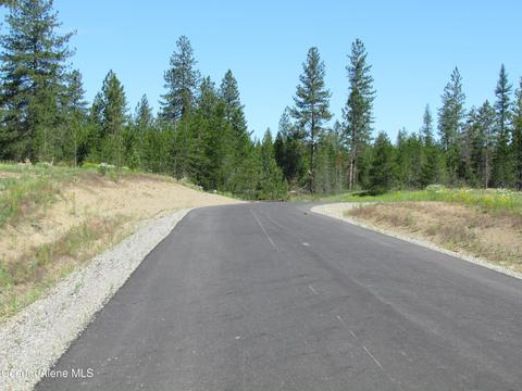 417 Cricket Loop, Oldtown, ID 83822 photo 28