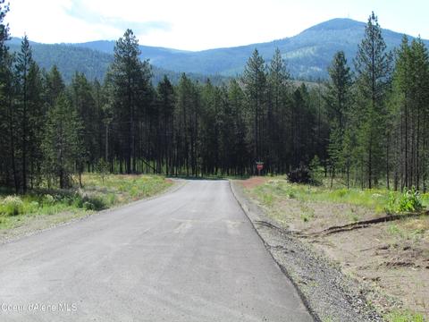 417 Cricket Loop, Oldtown, ID 83822 photo 29