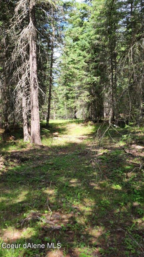 10327 E Bunco Rd, Athol, ID 83801 photo 8
