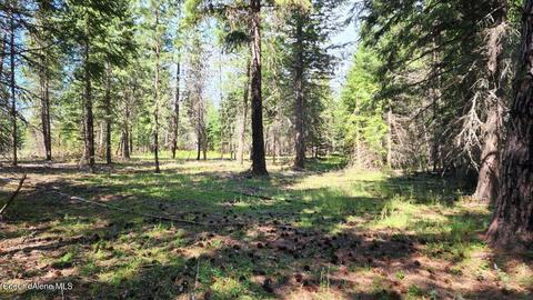 9297 E Bunco Rd, Athol, ID 83801 photo 8