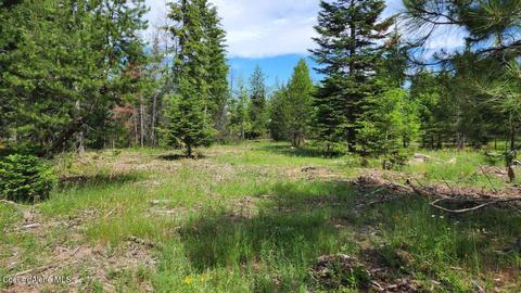 9297 E Bunco Rd, Athol, ID 83801 photo 9