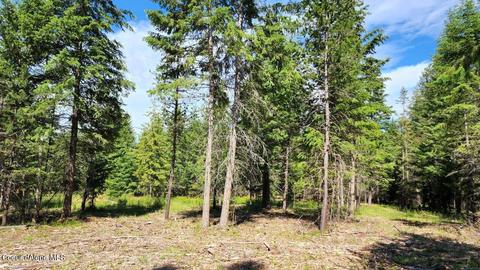 9297 E Bunco Rd, Athol, ID 83801 photo 6