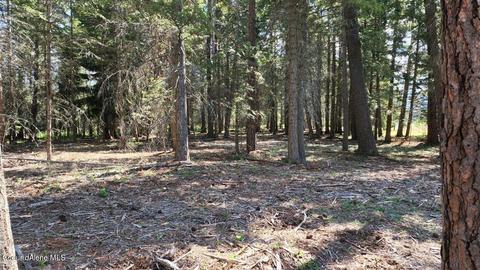 9297 E Bunco Rd, Athol, ID 83801 photo 7