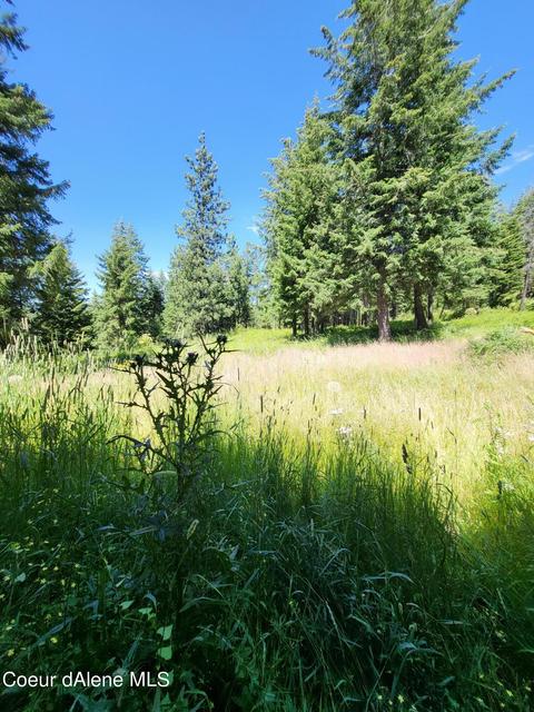 1350 Skyline Rd, Naples, ID 83847 photo 5