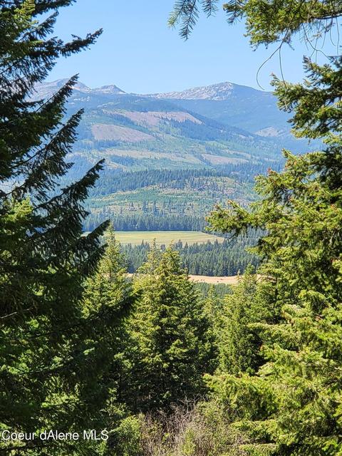 1350 Skyline Rd, Naples, ID 83847 photo 8