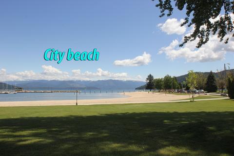 467 Schweitzer Mountain Rd, Sandpoint, ID 83864 photo 47