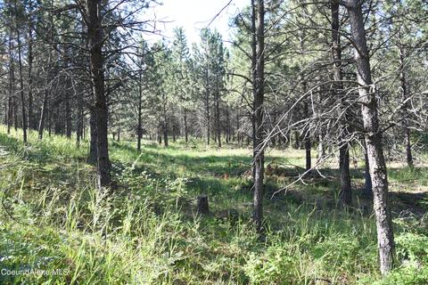Nna Promise Ln, Plummer, ID 83851 photo 5