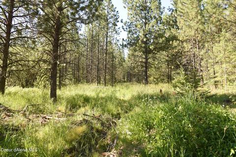 Nna Promise Ln, Plummer, ID 83851 photo 3