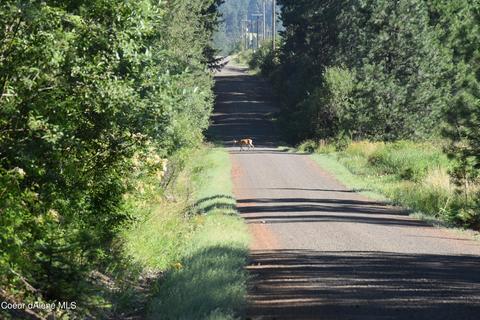 Nna Promise Ln, Plummer, ID 83851 photo 2