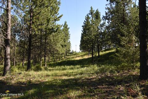 Nna Promise Ln, Plummer, ID 83851 photo 6