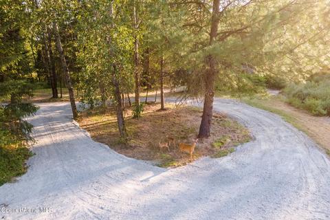 45560 Silver Valley Rd, Pinehurst, ID 83850 photo 28