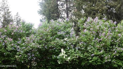 14195 W Riverview Dr, Post Falls, ID 83854 photo 77