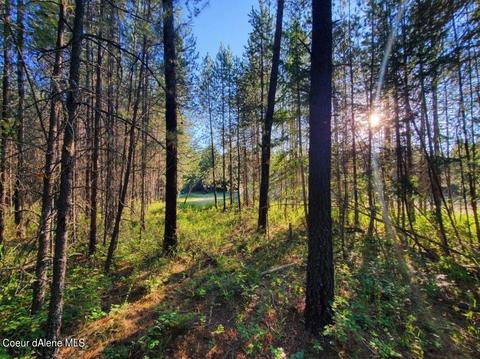 9284 E Snowy Ln, Athol, ID 83801 photo 6