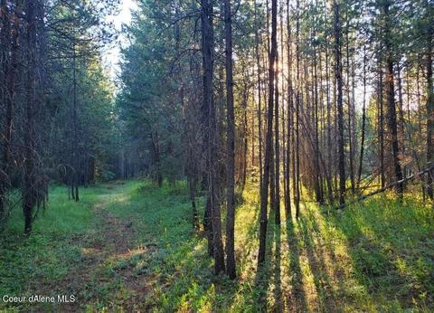 9284 E Snowy Ln, Athol, ID 83801 photo 42