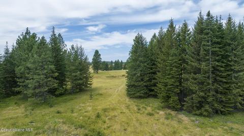 1605 Jasmine Ln Parcel 9, Weippe, ID 83553 photo 13