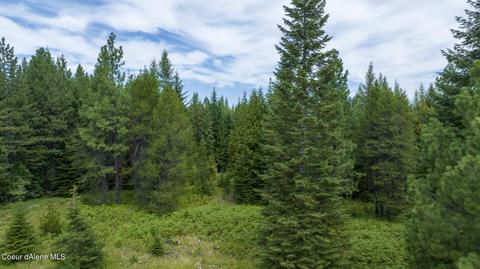 1605 Jasmine Ln Parcel 9, Weippe, ID 83553 photo 12