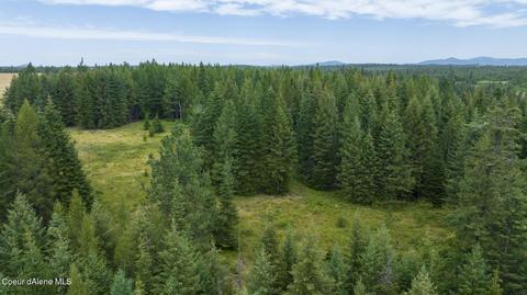 1605 Jasmine Ln Parcel 9, Weippe, ID 83553 photo 6