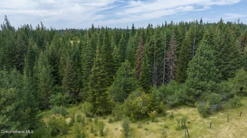 1605 Jasmine Ln Parcel 3, Weippe, ID 83553 photo 6