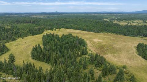 1605 Jasmine Ln Parcel 3, Weippe, ID 83553