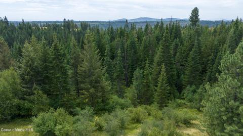 1605 Jasmine Ln Parcel 3, Weippe, ID 83553 photo 5