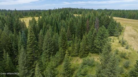 1605 Jasmine Ln Parcel 3, Weippe, ID 83553 photo 4