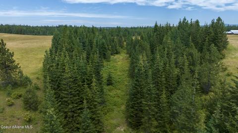 1605 Jasmine Ln Parcel 4, Weippe, ID 83553 photo 2