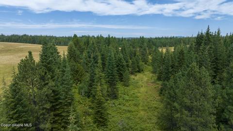 1605 Jasmine Ln Parcel 4, Weippe, ID 83553 photo 4