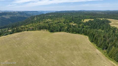 1605 Jasmine Ln Parcel 12, Weippe, ID 83553