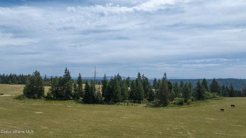 1605 Jasmine Ln Parcel 13, Weippe, ID 83553 photo 3