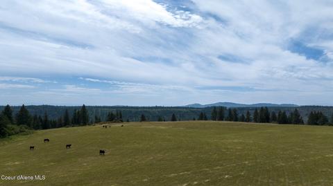 1605 Jasmine Ln Parcel 13, Weippe, ID 83553 photo 4