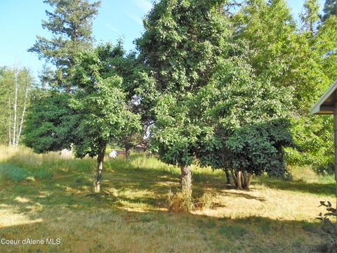 23 Selle Rd, Sandpoint, ID 83864 photo 11