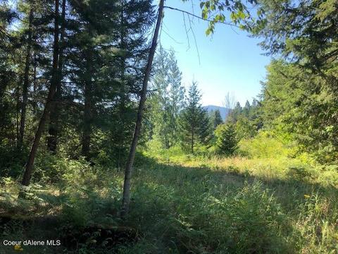 48 Martindale Rd, Sandpoint, ID 83864 photo 31