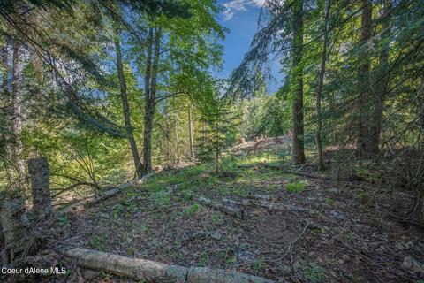 111 Bay Dr, Sagle, ID 83860 photo 9