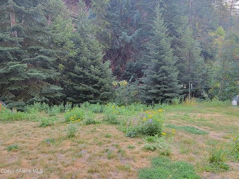 402 Second St, Mullan, ID 83846 photo 4