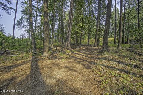 1402 Schneiders Rd, Sagle, ID 83860 photo 28