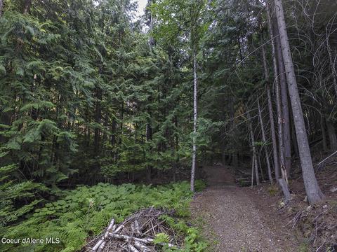 1402 Schneiders Rd, Sagle, ID 83860 photo 4