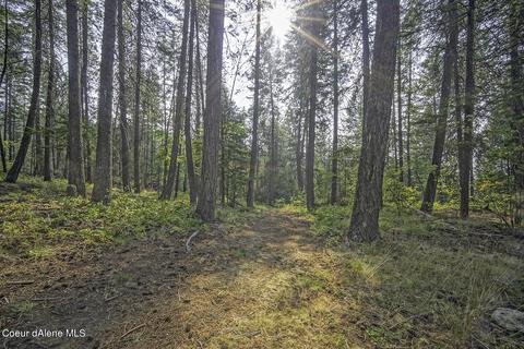 1402 Schneiders Rd, Sagle, ID 83860 photo 29