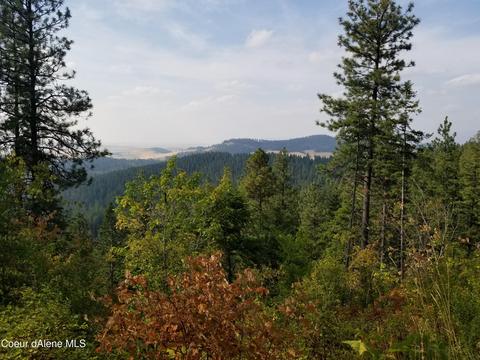 219 Horseshoe Ln, Plummer, ID 83851 photo 1
