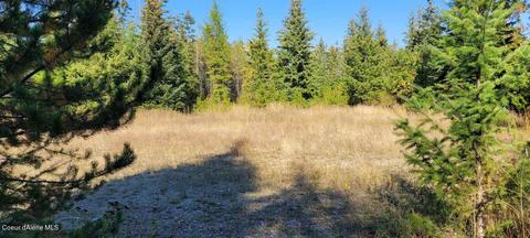 13299 E Perimeter Rd, Athol, ID 83801 photo 14
