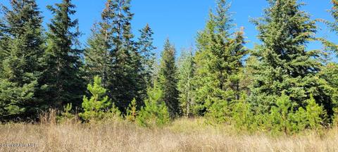 13299 E Perimeter Rd, Athol, ID 83801 photo 11