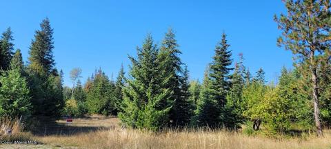 13299 E Perimeter Rd, Athol, ID 83801 photo 15
