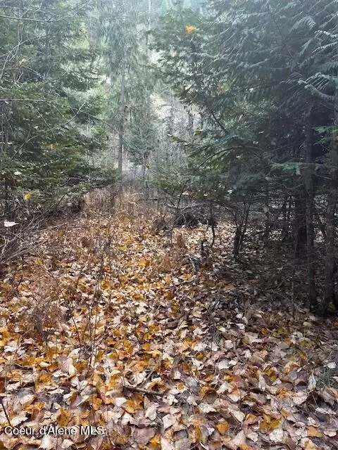 Nna Blk 21 Lot 32 Unit 2, Bayview, ID 83803