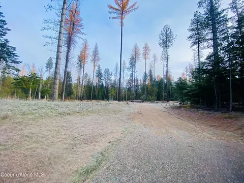 Nna E Bunco Rd, Athol, ID 83801 photo 4