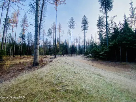 Nna E Bunco Rd, Athol, ID 83801 photo 6