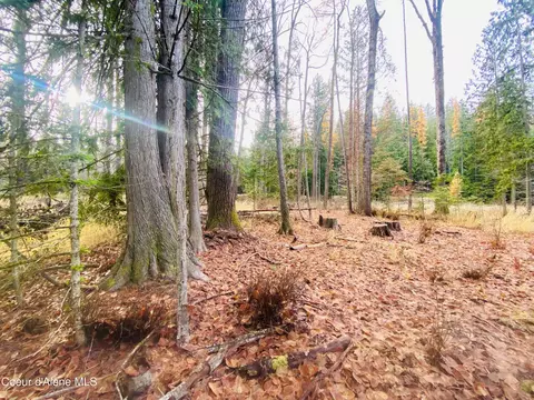 Nna E Bunco Rd, Athol, ID 83801 photo 11