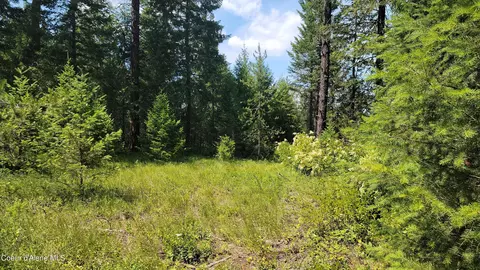 Lot 2 Trails End Rd, Athol, ID 83801