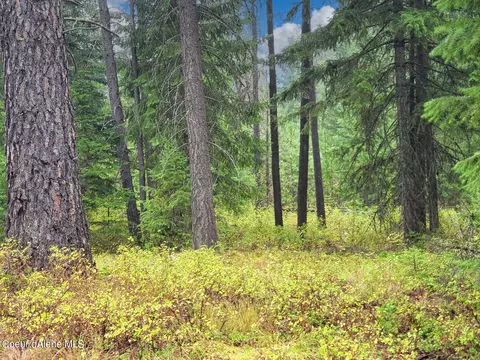 Nka W Maine St, Spirit Lake, ID 83869