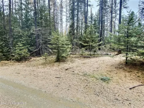 Nka Aspen Ln, Priest River, ID 83856