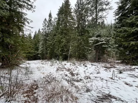 235 Campfire Ln, Saint Maries, ID 83861