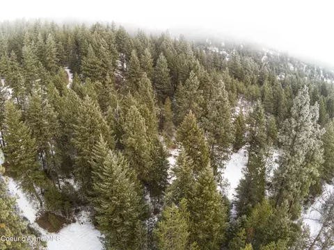 206 Bear Rdg Trl, Blanchard, ID 83804
